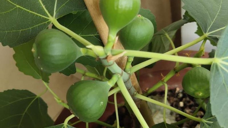 解码弱电系统集成：分类与关键参数解析