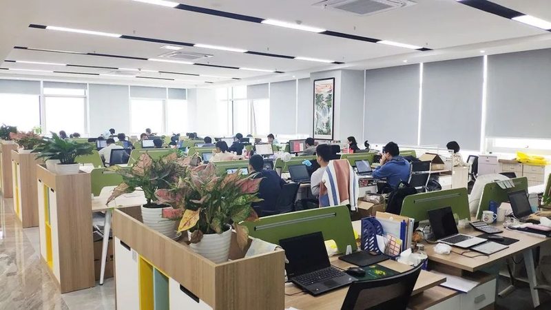 六类网线价格之谜：揭秘其背后的价值与选择**